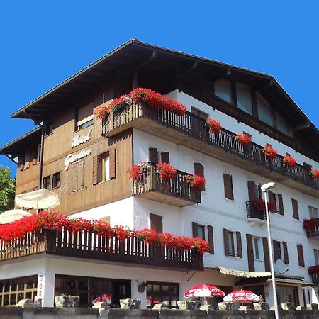 Hotel Giardino Pieve di Cadore Ngoại thất bức ảnh